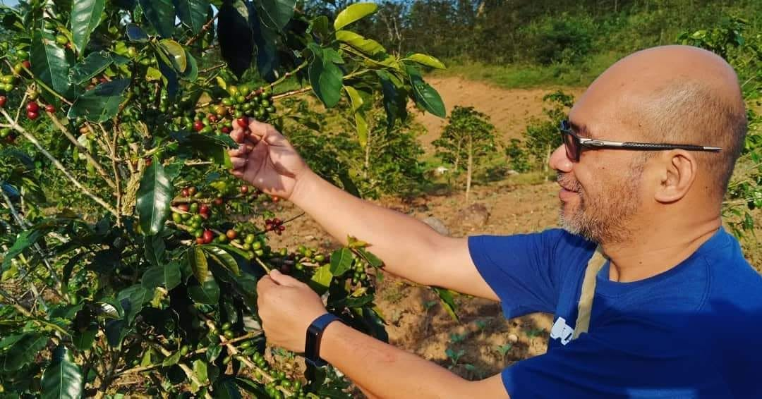 Coffee farming